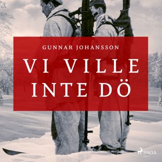 vi-ville-inte-do
