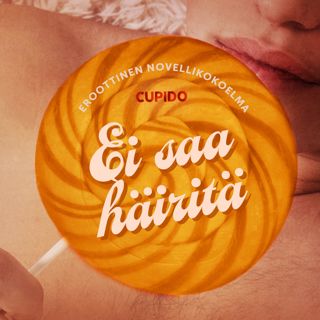 ei-saa-hairita-eroottinen-novellikokoelma