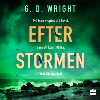 efter-stormen