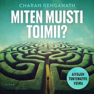 miten-muisti-toimii