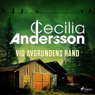 vid-avgrundens-rand