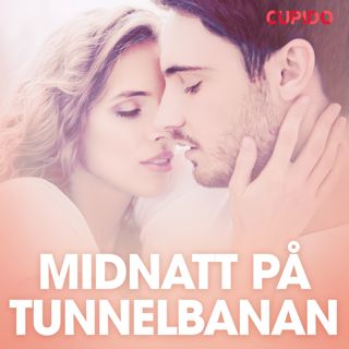 Midnatt på tunnelbanan - erotiska noveller