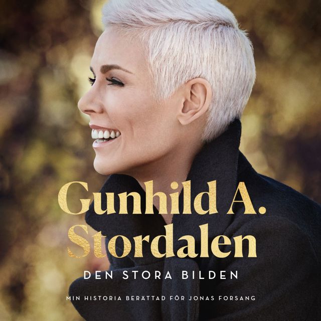 den-stora-bilden