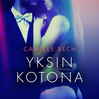 Yksin kotona - eroottinen novelli