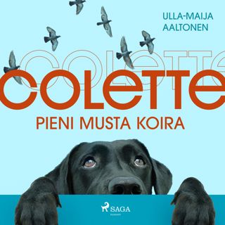 Colette, pieni musta koira