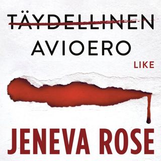 taydellinen-avioero