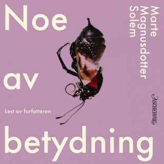 noe-av-betydning