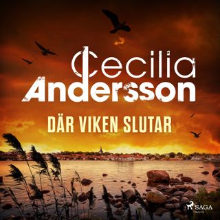 dar-viken-slutar