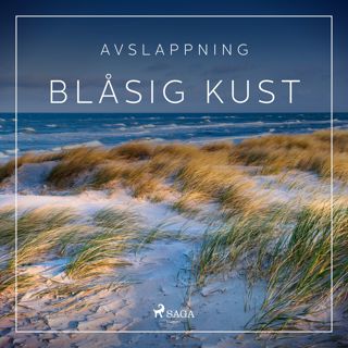 avslappning-blasig-kust