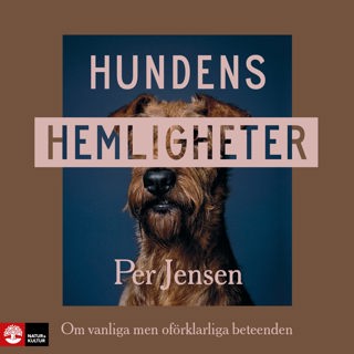 hundens-hemligheter-om-vanliga-men-oforklarliga-beteenden