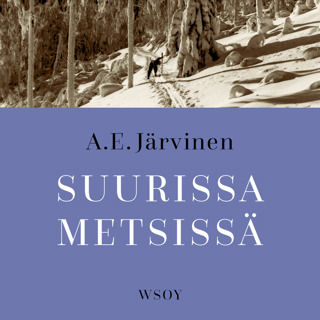 Suurissa metsissä