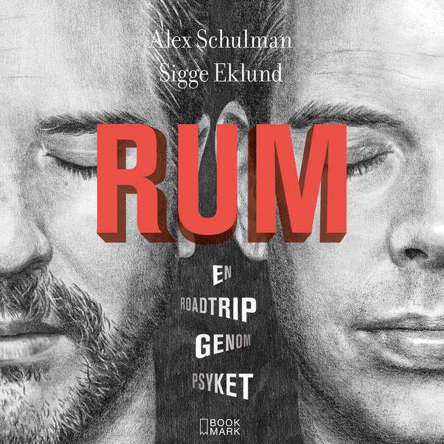 rum-en-roadtrip-genom-psyket