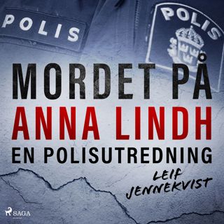 Mordet på Anna Lindh: en polisutredning