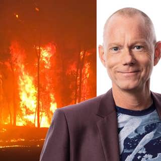 Ett riktigt uselt år: Peder Gustafsson, Bangkok