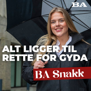Arkitekturopprør, bro til to milliarder splitter politikere og oppsiktsvekkende meningsmåling for Bergen