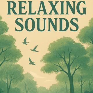 Relaxing Sounds - Light Wind & Birdsong | Sleep, Study, Focus | (8 Hours)