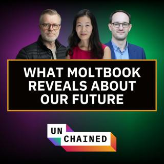 When AI Agents Take Over, What Does a Post-Human Economy Look Like?