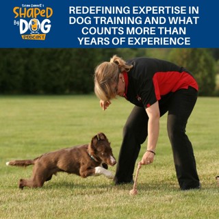 Redefining Expertise In Dog Training And What Counts More Than Years Of Experience #247