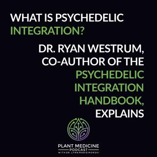 BONUS Episode: Integration 101 with Dr. Ryan Westrum