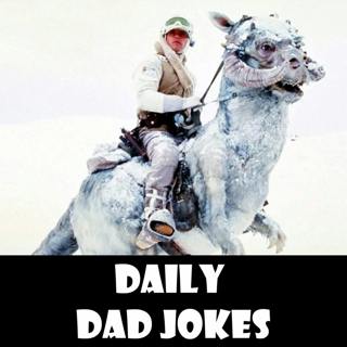 I was watching Star Wars with my daughter. She asked why Luke was climbing inside a Tauntaun, | + 15 more jokes | 08 Dec 2022
