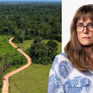656 kilometer genom Amazonas: Lotten Collin, Amazonas