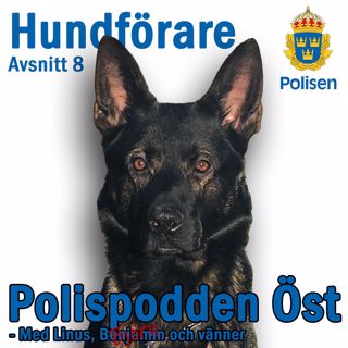 8. Hundförare