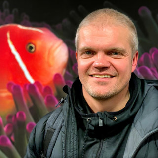 Episode 60 - opprykkspod! Helstrup om festen, TILs Idol-kandidat og Bjørkans Thailand-historie