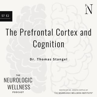 The Prefrontal Cortex And Cognition