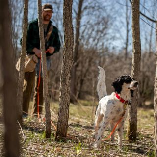 #281 | Jeremy Moore on Building Trust and Experience with your Bird Dog