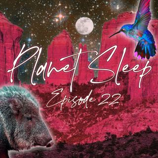 23: Spiritual Journey Through Sedona