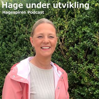 28/23: Hage under utvikling med Yvonne Breen