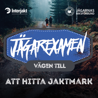 Vägen till Jägarexamen - Hur hittar man jaktmark?