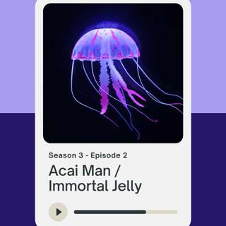Acai Man / Immortal Jelly (with Hannah Altenbach)