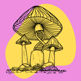 #20: The Evolution of Psychedelic Mushrooms with Dr. Jason Slot