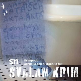 Badkarsmordet i Gnesta