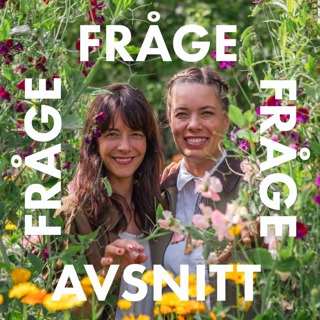 Frågeavsnitt: Torra rabatter och ärvda rabatter - hur gör man?