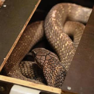 Wararkii maanta ee Raadiyaha Iswiidhen