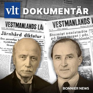 rss-vlt-dokumentar