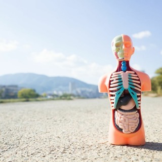 Best of Awake in the World: In that Lump of Flesh and Bones