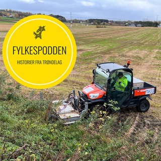 Radar som ser under bakken