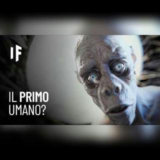 Evoluzione dell'umanità in 15 minuti