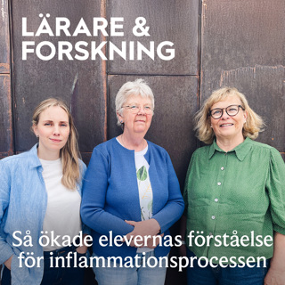 40. Så ökade elevernas förståelse för inflammationsprocessen