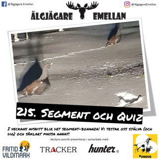 215. Segment & Quiz