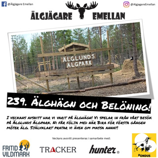 239. Älghägn & Belöning!