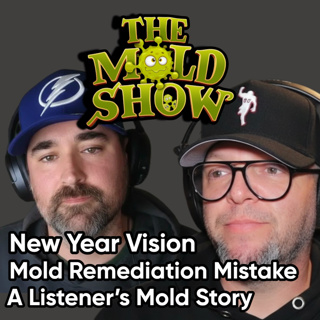 New Year Vision, Mold Remediation Mistake, A listener's Mold Story
