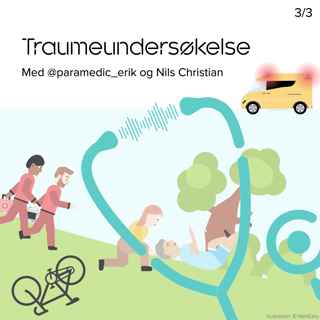 Traumeundersøkelse