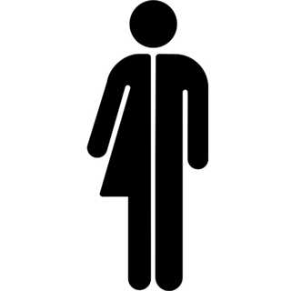 Är könet kropp eller identitet?