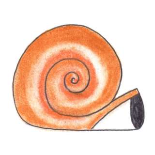 ESSAY | The Snail