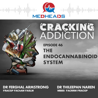 The Endocannabinoid system