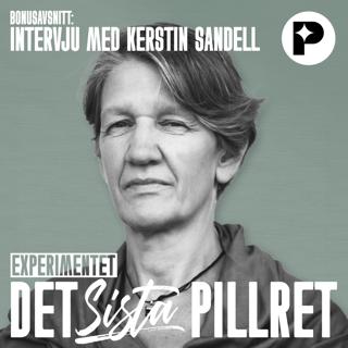 Det sista pillret BONUSAVSNITT: Om tillståndet som förlorade sitt namn - med Kerstin Sandell